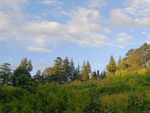 CHP Himalayan Paradise 09