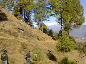CHP Himalayan Paradise 05