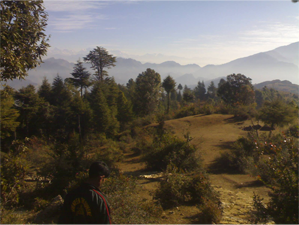 CHP Gallery Header